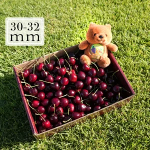 澳洲塔斯馬尼亞櫻桃30-32mm