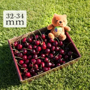 澳洲塔斯馬尼亞櫻桃32-34mm