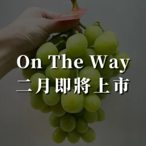 澳洲頂級綠葡萄(2月中上市)