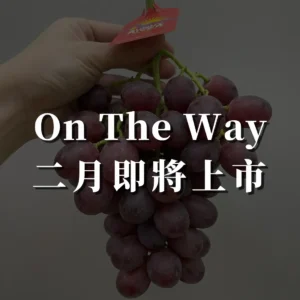 澳洲頂級紅葡萄(2月中上市)